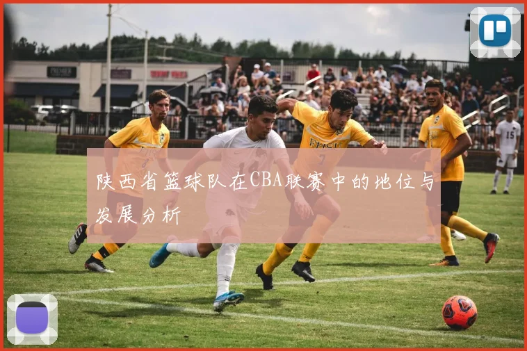 陕西省篮球队在CBA联赛中的地位与发展分析