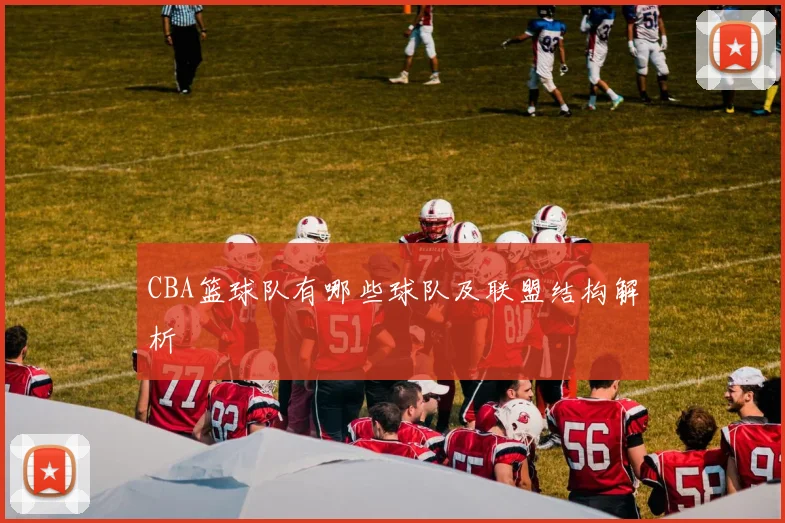 CBA篮球队有哪些球队及联盟结构解析