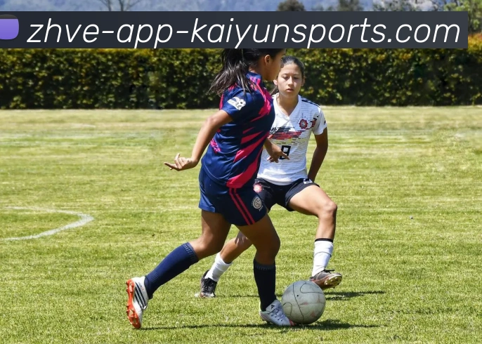 开云体育全站App